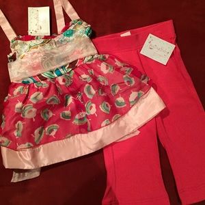 NWT two piece outfit . Size 4T